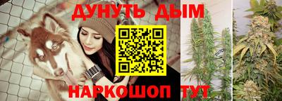 шишки Будённовск