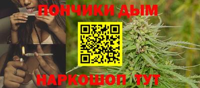 шишки Будённовск