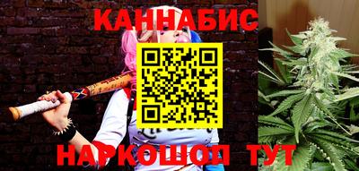 шишки Будённовск