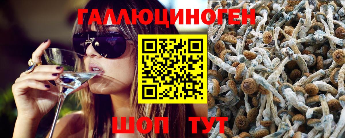 Галлюциногенные грибы мухоморы Усть-Лабинск