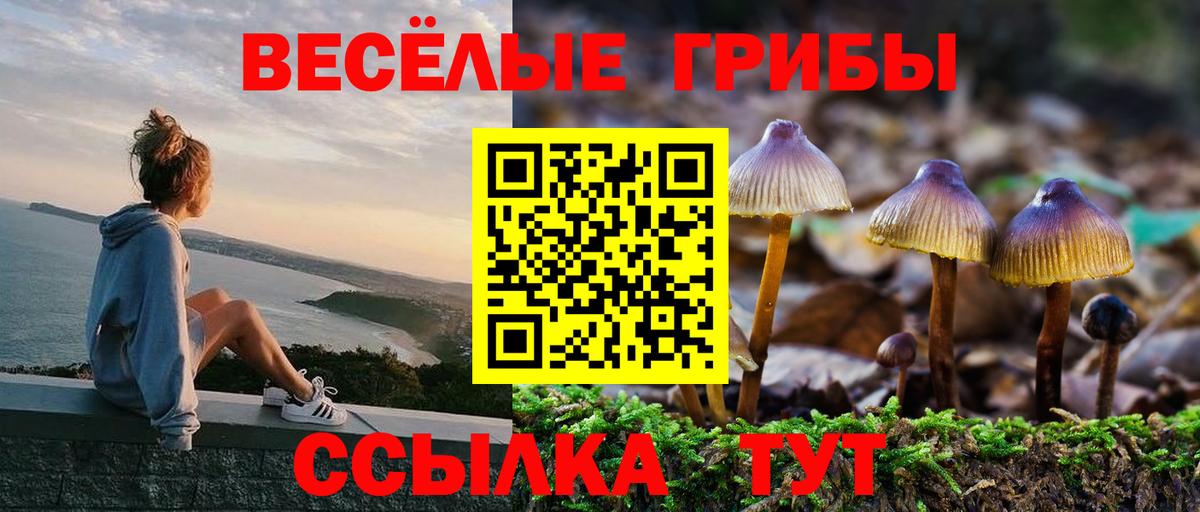 Усть-Лабинск  Псилоцибиновые грибы мухоморы  Галлюциногенные грибы мицелий  хочу наркоту  Вход с VPN 